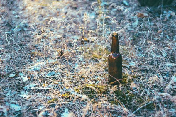 Botella Cerveza Marrón Sucia Suelo Hierba Contaminación Ambiental Destrucción Naturaleza — Foto de Stock