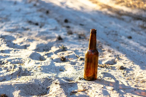 Brown Beer Bottle Sandy Road Pine Forest Environmental Pollution Destruction — Stock Photo, Image