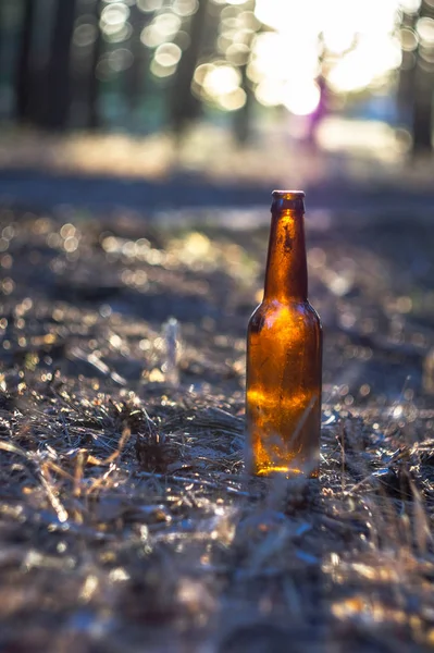 Brown Beer Bottle Pine Forest Cones Environmental Pollution — Stock Photo, Image