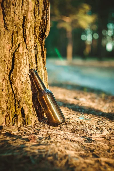 Una Vieja Sucia Botella Cerveza Marrón Está Suelo Cerca Árbol — Foto de Stock