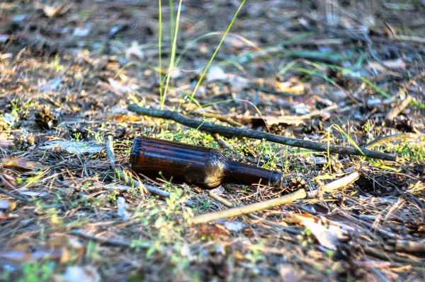 Una Sucia Botella Cerveza Vacía Yace Suelo Bosque Pinos Contaminación —  Fotos de Stock