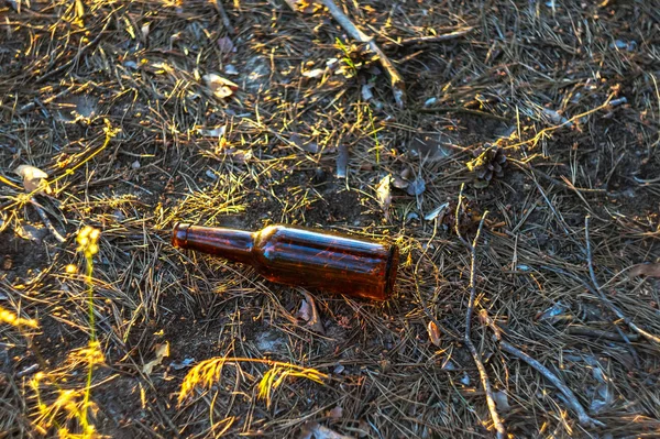 Dirty Prázdnou Pivní Láhev Leží Zemi Borovém Lese Znečištění Životního — Stock fotografie