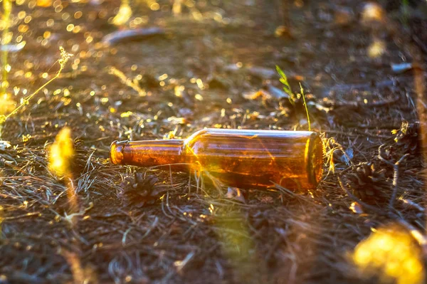 Una Sucia Botella Cerveza Vacía Yace Suelo Bosque Pinos Contaminación — Foto de Stock