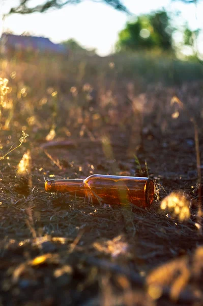 Una Sucia Botella Cerveza Vacía Yace Suelo Bosque Pinos Contaminación — Foto de Stock