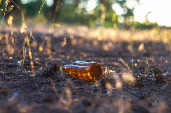 Una Bottiglia Birra Sporca Vuota Giace Terra Una Pineta Inquinamento — Foto Stock