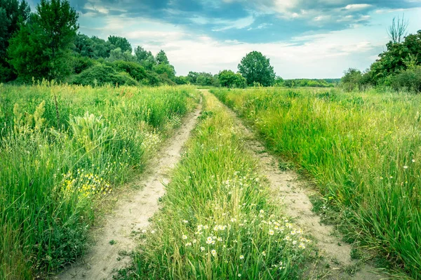 古いフィールド道路 青い空と花草原 — ストック写真