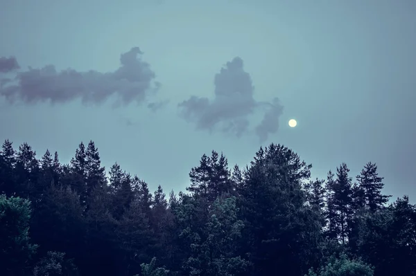 夜の風景の写真の芸術的な処理をします 松の森と空の雲と月のシルエット テキストのための場所 — ストック写真