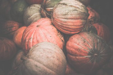 Kirli kabaklar yığını. Tonda, tarzı fotoğraf.