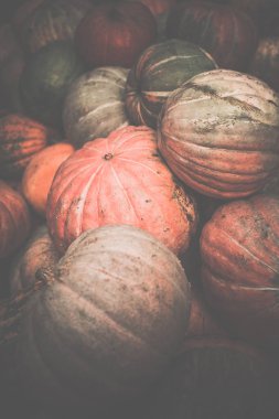 Kirli kabaklar yığını. Tonda, tarzı fotoğraf.