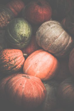 Kirli kabaklar yığını. Tonda, tarzı fotoğraf.