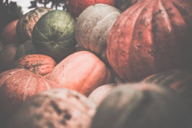 Kirli kabaklar yığını. Tonda, tarzı fotoğraf.