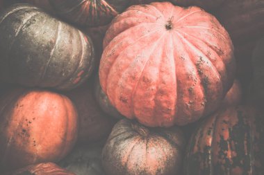 Kirli kabaklar yığını. Tonda, tarzı fotoğraf.