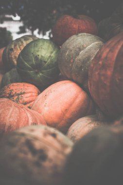 Kirli kabaklar yığını. Tonda, tarzı fotoğraf.