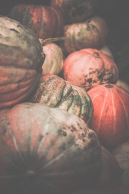 Kirli kabaklar yığını. Tonda, tarzı fotoğraf.