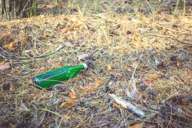 Yeşil cam şişe bir çam ormanı içinde yatıyor. Çevre kirliliği. Doğada çöp.