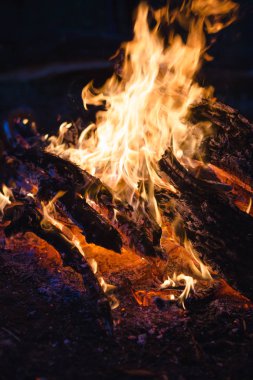 Kamp yangın gece ormanda.