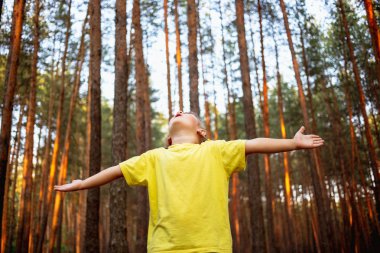 Eller yukarı Çam ormanıyla küçük kız güzel doğa sahiptir