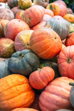 Büyük kirli kabaklar yığını