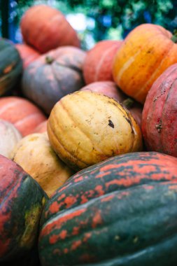 Büyük kirli kabaklar yığını