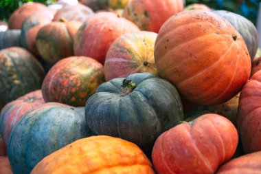 Büyük kirli kabaklar yığını