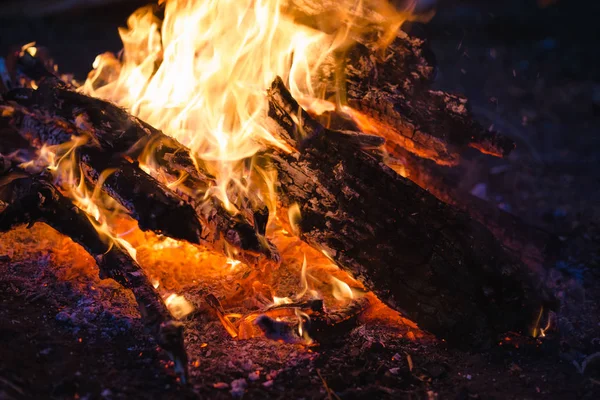 Feu Camp Nuit Dans Forêt — Photo