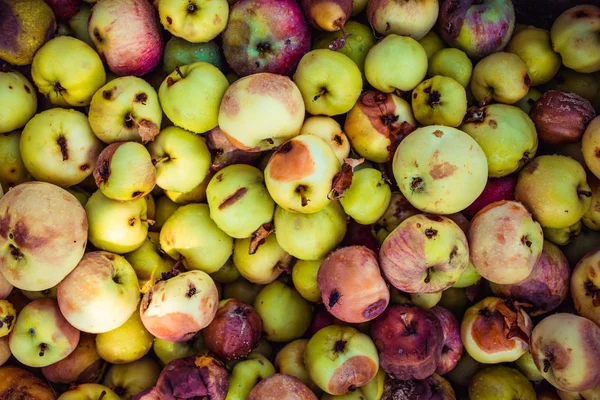 Background Lot Bad Apples Bunch Red Green Yellow Brown Rotten — Stock Photo, Image