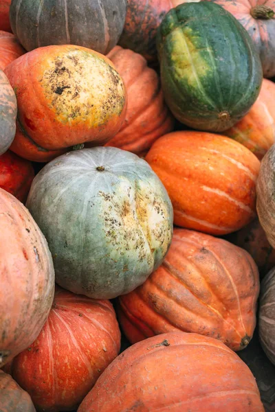 Büyük kirli kabaklar yığını