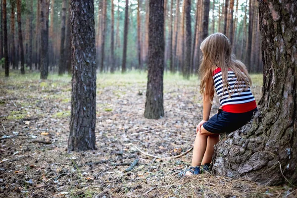 Pequena Menina Bonita Sentada Toco Uma Floresta Pinheiros Horário Verão — Fotografia de Stock