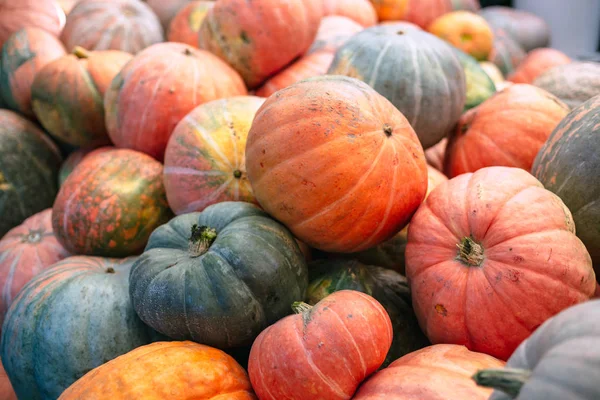 Montón Grandes Calabazas Sucias —  Fotos de Stock