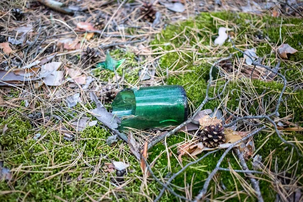 松树林地上的碎啤酒瓶 — 图库照片