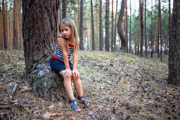 Pequena Menina Bonita Sentada Toco Uma Floresta Pinheiros Horário Verão — Fotografia de Stock