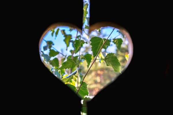 Hart Een Houten Plank — Stockfoto