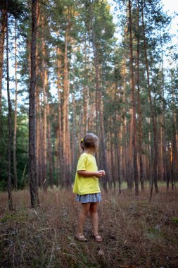 Yaz aylarında çam ormanı içinde güzel küçük kız