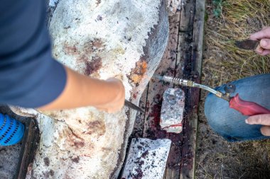 Aile içi domuz kesim önce yakıcı. Domuz saç kaldırılması.