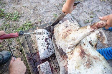 Aile içi domuz kesim önce yakıcı. Domuz saç kaldırılması.