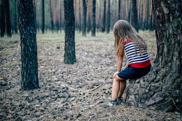 Pequena Menina Bonita Sentada Toco Uma Floresta Pinheiros Horário Verão — Fotografia de Stock