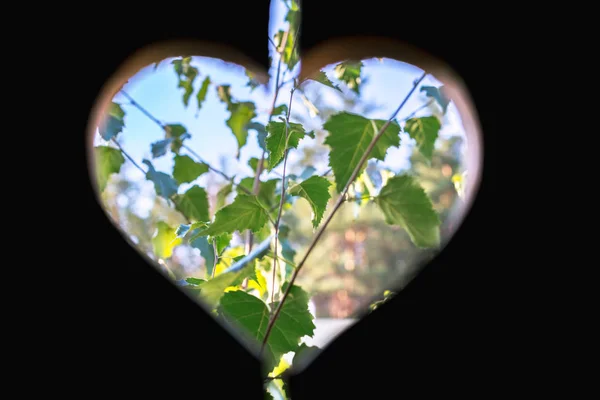 Cuore Una Tavola Legno — Foto Stock