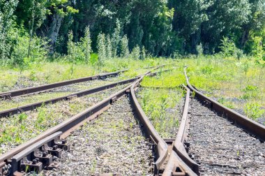 Tren Kavşağı'nda bahar. Yemyeşil ağaçlar ve çiçekler.