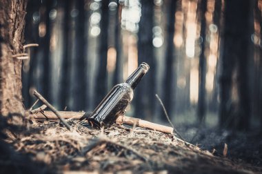 Bir eski, kirli, kahverengi bira şişesi yere yakın bir çam ormanı bir ağaç üzerinde duruyor. Çevre kirliliği. Doğa imha.