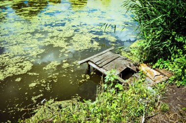 Ahşap platform yaz aylarında nehir üzerinde balıkçılık için. Duckweed, ağaçlar ve gökyüzü su yansıması.