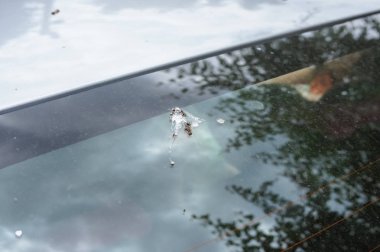 Arabanın üzerinde kuş pisliği var. Kötü park kavramı.