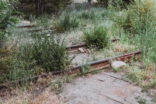 Fragment Old Overgrown Abandoned Railway — Stock Photo, Image