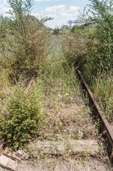 Fragment Vieux Chemin Fer Abandonné Surpeuplé — Photo