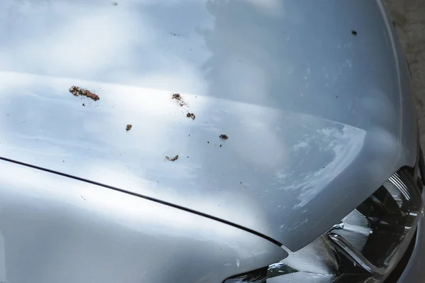 車の鳥の糞 悪い駐車概念 — ストック写真