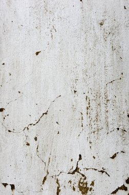 Tasarım için klasik duvar arka plan dokusu. Metin için yer.