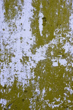 Tasarım için renk duvar arka plan.