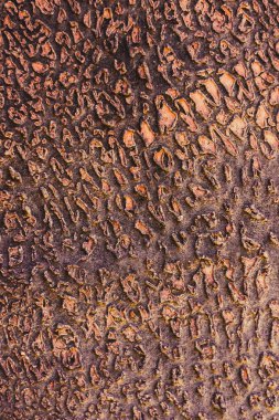 Eski boyalı peeling arka plan. Soyut duvar doku.