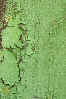 Yeşil duvar arka plan tasarımı için peeling.