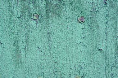 Yeşil duvar arka plan tasarımı için peeling.