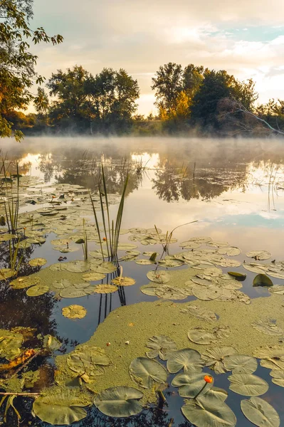 A magnificent sunrise on a river with a mist over the water.